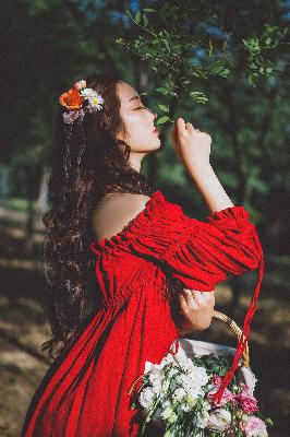 免费网站观看WWW在线观