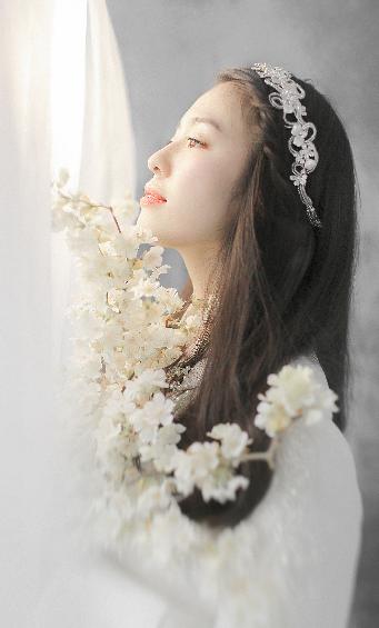 免费的网站域名查询