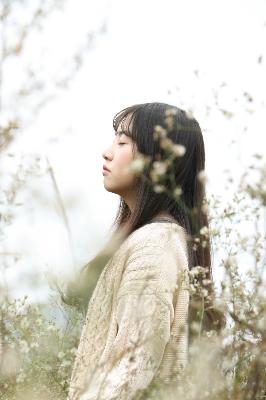 汪汪队立大功全集免费